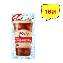 롯데칠성 칸타타 아이스 빅 스위트 아메리카노 파우치음료 320ml, 16개