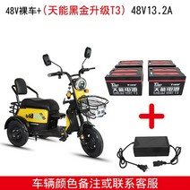 삼륜전기스쿠터 세발 오토바이 전동차 농업용 출퇴근, 블랙골드 48볼트 13암페어 배터리 충전기, 48V