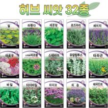 허브 씨앗 모음 바질 로즈마리 레몬그라스 허브씨 커피씨앗 쌈 채소 향채 종자, 허브7. 레몬그라스 20립