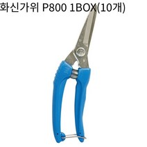 전정 가위 원예 가위 대구 화신 P800 1BOX(10개), 10개