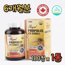 캐나다산 항산화 약6개월 플라보노이드 순수 로얄 프로폴리스 영양제 식약처 인증 프리미엄 영양제 해외 직수입 구하기힘든 프로폴리스 캡슐