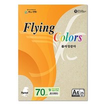 플라잉칼라 Pk02 얼스팩 A4 70g 복사용지 25매입 10개 - 78539EA, 본상품선택