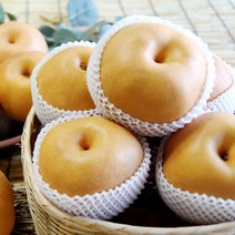 소담촌 2023 수확 햇배(가정용/흠과), 1박스, 5kg(9~10과)/중과