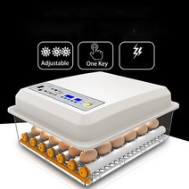 닭 사육 스마트 64pcs 완전 자동 인큐베이터 가정용 계란 육추기 농장 새 인큐베이터, 남아프리카 공화국 플러그