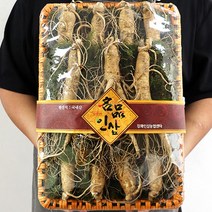 추석산삼장뇌삼산양삼 인삼재배 수삼 인삼한채, 대수삼 한채반 14-16뿌리