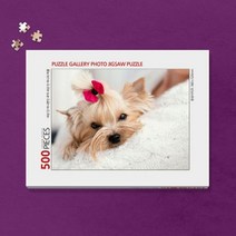 500피스 반려동물 사진 직소퍼즐 제작 (액자포함), 본상품선택, 06. 모던화이트, 본상품선택