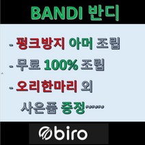 재고전화문의 필수 / 2022BIRO 바이로전기자전거 Bandi A 스완타입 PAS모드 20인치_17Ah, 블랙