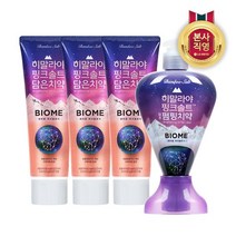 히말라야핑크솔트 튜브치약 튜브형 100g x 3개 / 펌핑형 285g 1개, 02. 펌핑형 285g 1개