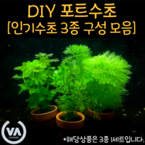 [비바소녀] 직접 만드는 DIY 포트수초 3종 1세트 4종 구성(8촉/15촉/15촉/20촉) / 100% 수중수초 인기수초 고급수초 초보수초, 소녀세트(토니3붕어7도리5)
