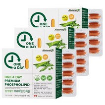 네추럴라이즈 프리미엄 인지질 90캡슐 x 3통 9개월분 대두레시틴100% lecithin 래시틴 캡슐 플러스, 3개, 1