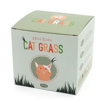 반려 식물 보리싹 재배키트 캣그라스 밀싹 키우기 화분 귀리싹 캣닢