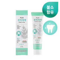엑소덴 불소 1000ppm 성인충치예방 건치 치약, 1개, 120g