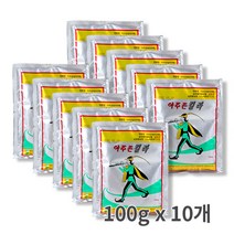 아주존킬라 파리살충제 100g x10개