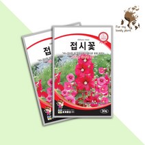 접시꽃 30립 세계종묘 화훼류 씨앗 다년생 관상용 꽃