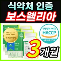 식약처 인증 초록입 초록잎 보스웰리아 보수엘리아 보스웰리스 보스벨리아 보스웰릭산 AKBA KBA 치커리 우슬 타우린 칼슘 나이아신 셀레늄 베타인 함유 중 장년 부모님 노인 어르신, 3개월 / 3통