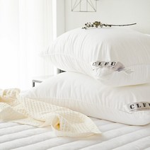 클푸 [클푸]국내산 데일리 마이크로 화이바 일반베개솜 50x70, 선택완료