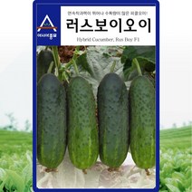러스보이 오이 씨앗 오이 씨 종자 50립