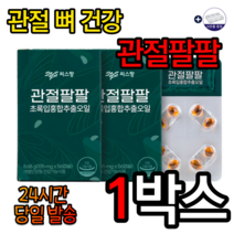 씨스팡 관절팔팔 155mg x 56캡슐 초록잎홍합 무릎관절영양제 무릎에좋은음식 관절에좋은영양제 무릎연골 뉴질랜드 초록잎홍합 효능 추천 골다공증 30대 40대 50대 알약케이스, 1박스, 옵션목록=특가[할인]