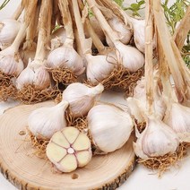 충남 서산 전병호님의 육쪽마늘 3kg(중/3.5~4cm), 1개, 3kg(중/3.5c~4cm)