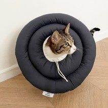뚜또가또 반려동물 가벼운 넥카라/S XL/동물병원납품, 스카이블루/M