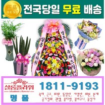 금천죽선물용 생일꽃바구니 결혼10주년 돈들어오는화분 당일전국꽃배달 개업선물 개업화분 꽃다발꽃 금천죽화분주문 선물용금천죽 선물용화분주문 화분주문금천죽 화분주문선물용, 1.축하3단