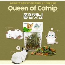고양이생일 캣닢간식 스코티쉬폴드간식 냥이놀이용품 냥이놀이