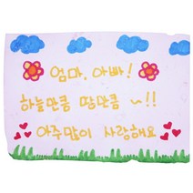 유앤아이 간단한 종이만들기키트(종이죽포함) 초등학교과학