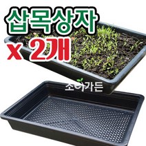조이가든 삽목상자 x 2개