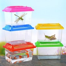 곤충 채집통 소 대 관찰통 어항 다슬기 보관 케이스, 2-곤충채집통-대