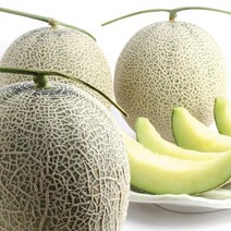 세지농협 세론이 메론 5kg (3수특)