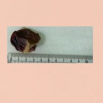 강아지 수제간식 더 네이쳐 닭근위 60g 수제간식 건강한간식 천연간식 대용량간식 강아지, 본상품선택