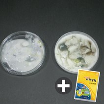 미생물 배양(5인 실험키트)