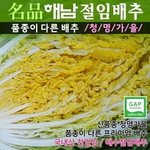하이베타영월절임배추 구매평 좋은 제품 HOT 20
