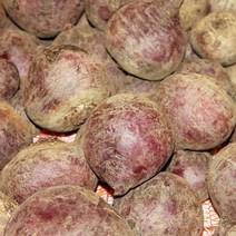 꼭지네 국내산 제주 레드비트 햇비트 특품 2kg 3kg 5kg 10kg, 비트 2kg