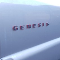 투톤 레터링 엠블럼 제네시스, 1세트(운전석 또는 조수석)