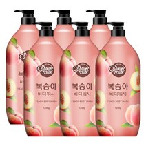 샤워메이트 복숭아 바디워시 과일향, 1200g, 6개