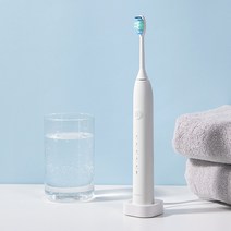 에버블루 덴티굿 휴대용 음파 전동칫솔