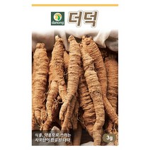 갑조네 민속특수 씨앗 모음, 더덕(씨앗), 1개