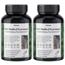 어스빌 프랑스해안송 소나무껍질 추출물 500mg 프로안토시아니딘 폴리페놀 베지캡슐, 60정, 2개