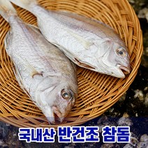자연의정석 목포에서 말린 국내산 반건조 생선 참돔 1마리 (30~40cm), 반건조생선 참돔 40cm전후(특대) 1마리