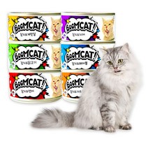 CATSOME 붐캣 고양이캔 80G 24개입(1BOX), 참치+닭고기