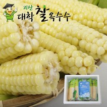 [바로발송]2022년 햇 생물괴산대학찰옥수수, 15개 냉동괴산대학찰옥수수
