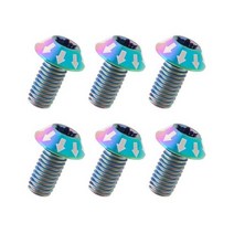 휴비나인 바이클파츠 MUQZI티타늄 나사 M5 x 10mm 자전거 디스크 브레이크 로터 볼트 MTB 초경량 티타늄 합금 T25 Torx 6 개