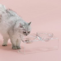 [스튜디오알로티] 루미 펫테이블 유리볼 포함 2구 S사이즈 고양이 강아지 밥그릇 물그릇 아크릴 식탁 수반, 단품
