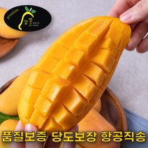 애플망고 태국망고 무지개망고 마하차녹 선물세트 2KG 4KG 5KG, C.혼합망고 실속형 4KG