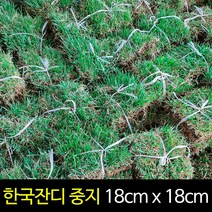 서경농원 천연잔디 18cm x 18cm 블럭, 300장, 1개