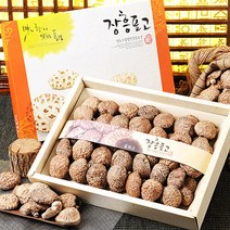 [푸르젠] 장흥 흑화고 선물세트 3호(흑화고 400g), 흑화고 선물세트 3호