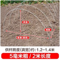 새로운 작은 아치 브래킷 야채 창고 기둥 분야 단열 FRP 단단한 유리 섬유 농업 묘목, 100팩, 두께 5mm - 길이 2m