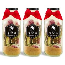 무화라임주 담금주 키트 500ml 과일주 만들기 세트 술판다, 무화라임주키트 500ml 3병