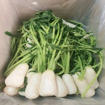 국내산 수작업 손질 절임 세척 알타리무 초롱무 총각무 3kg 5kg 10kg, 1개